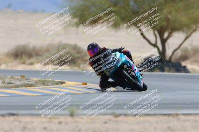 media/May-12-2024-SoCal Trackdays (Sun) [[ad755dc1f9]]/10-Turn 4 Tree of Life (1120am)/